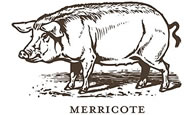 Merricote Logo